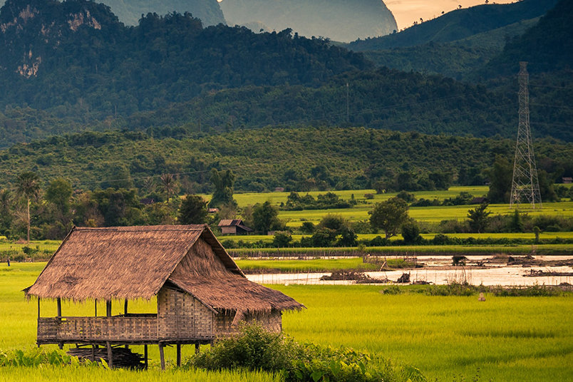 DKSH publishes 2020 Sustainability Report and introduces new Sustainability Framework