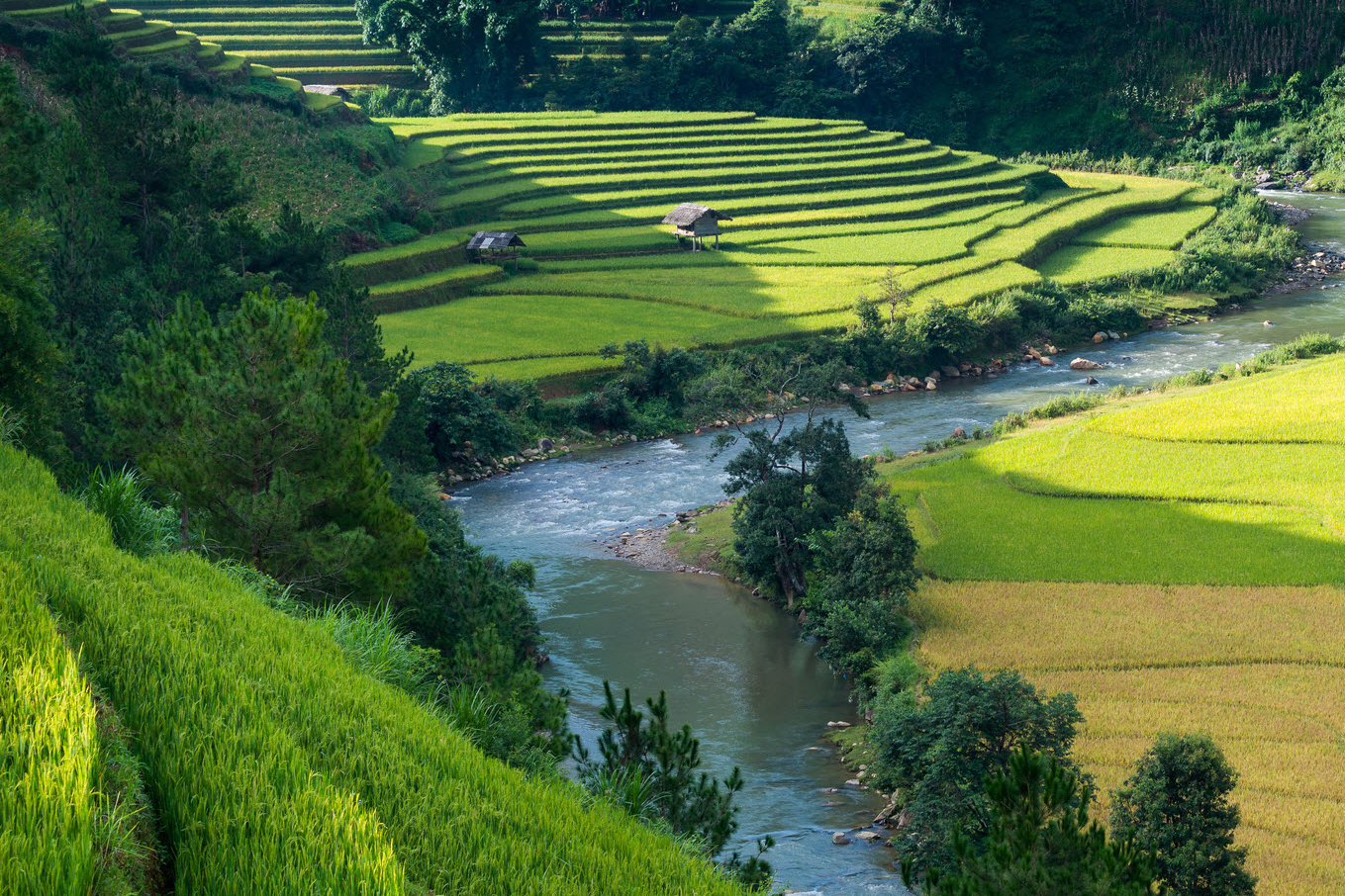DKSH reports on its progress in sustainability