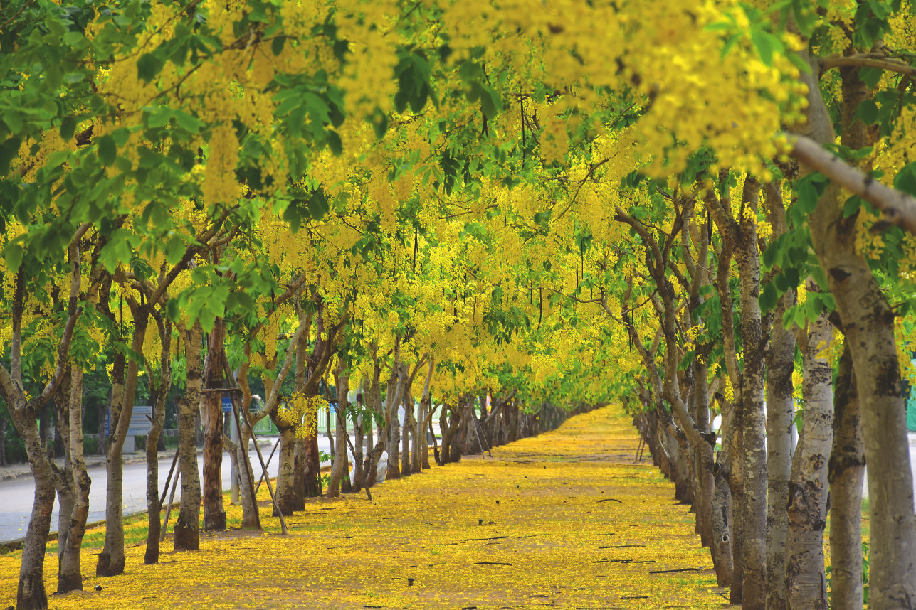 DKSH publishes third Sustainability Report