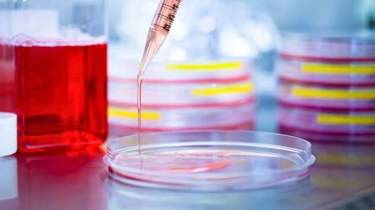 Tailoring Cell Culture Media for Optimal Cell Growth