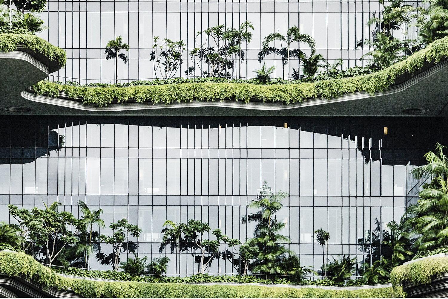 DKSH Publishes Fifth Sustainability Report and Achieves 2025 Climate Target Ahead of Time