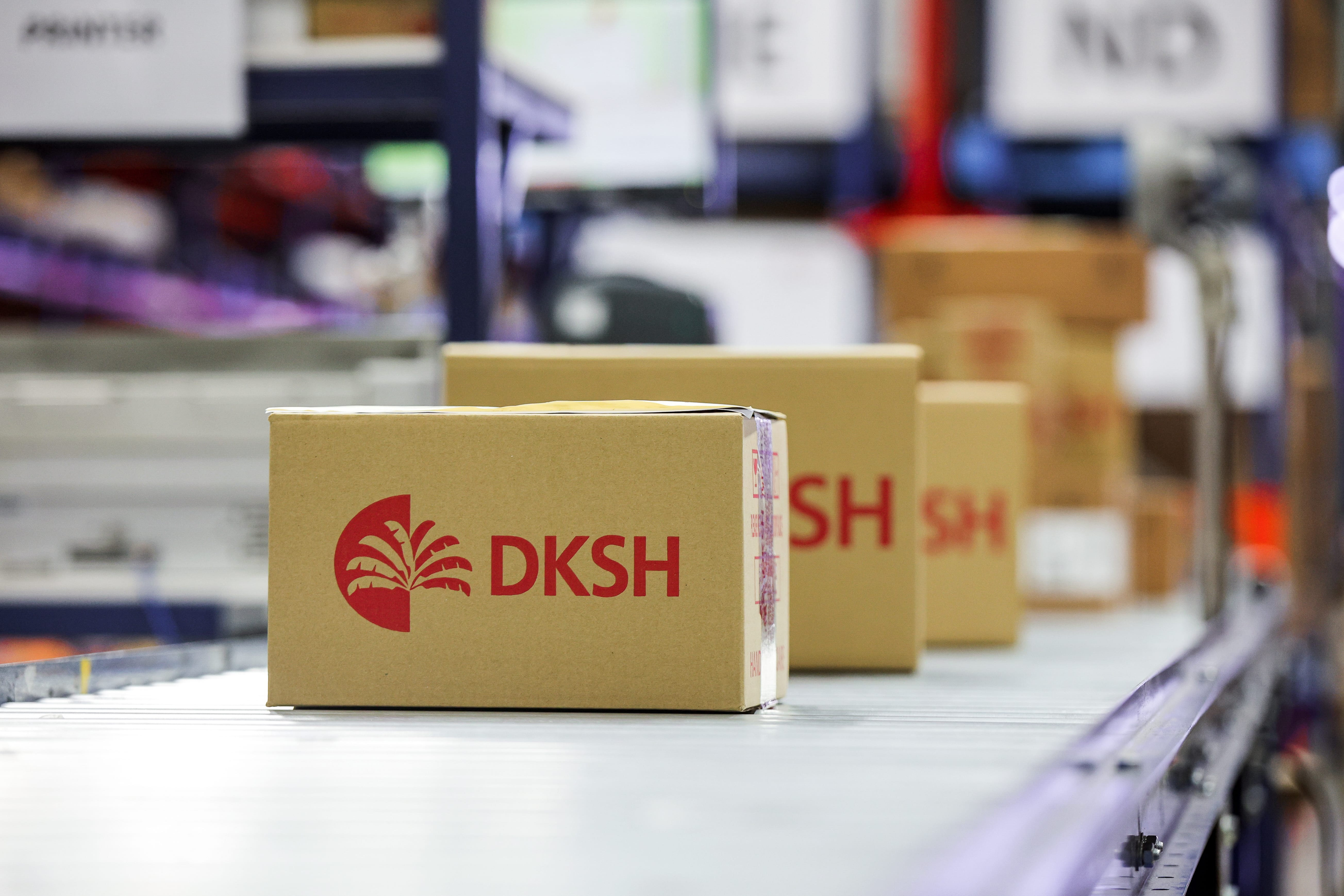 10_DKSH Group.jpg