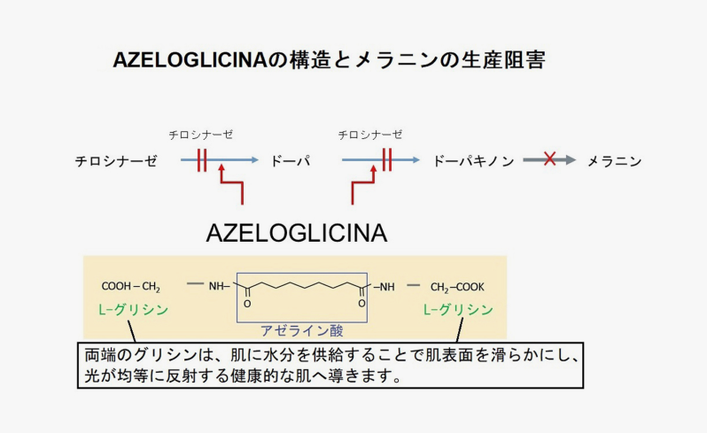 image (6).png